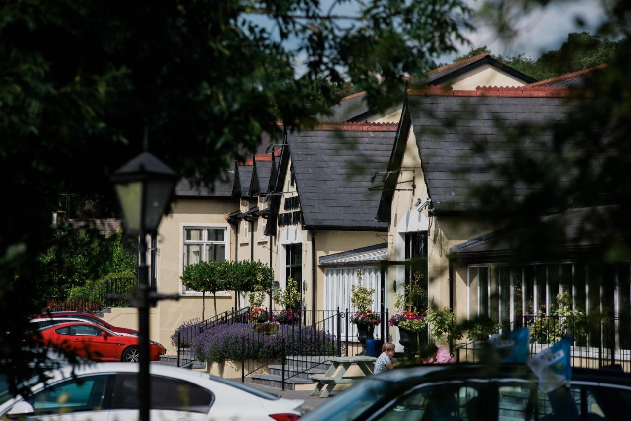 The Abbeyleix Manor Hotel Bagian luar foto